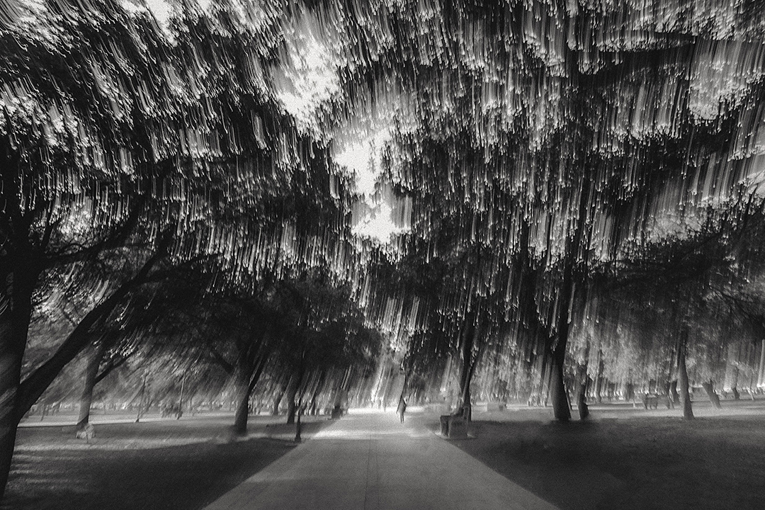 Ecos de luz