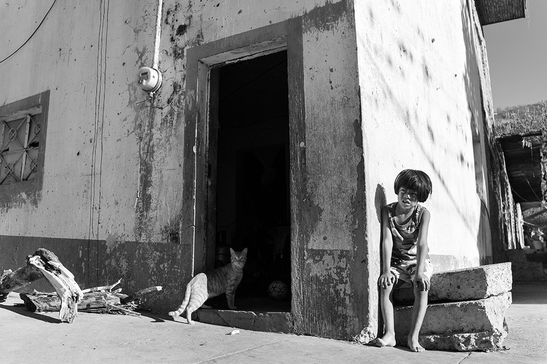 Gato y niño